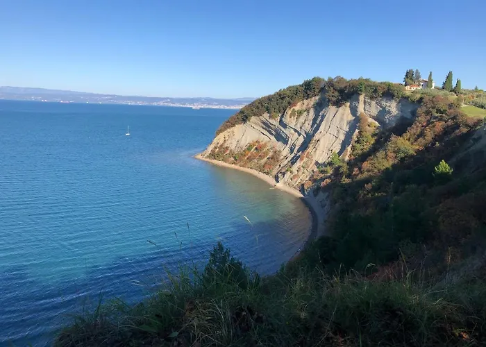 ゲストハウス & Nardin イゾラ